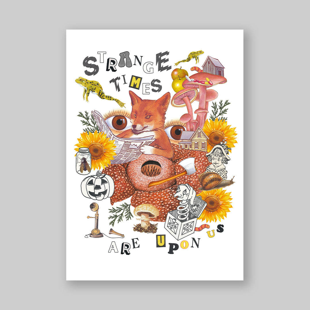 Posterzine® Ausgabe 74 | Eine sanfte Unrichtigkeit